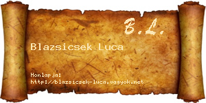Blazsicsek Luca névjegykártya